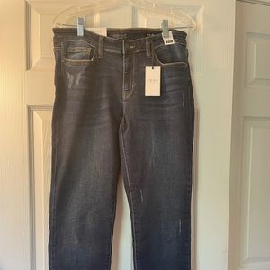 Judy Blue Slim Fit Jeans